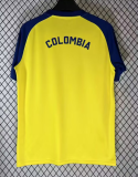 2026-27 Colombia Pre-match yellow Fans Soccer Jersey