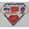 EFL Championship (25英冠章)