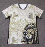 2026-27 Mens Brazil Special Edition soccer jersey