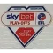EFL Championship (25英冠章)