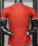 2026-27 Mens Spain Special Edition Player version soccer Jersey (Have two star ⭐⭐）
