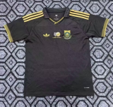 2026-27 Mens South Africa special edition Fans Soccer Jersey