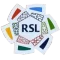 RSL(45沙特联)左袖