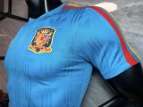 2026-27 Mens Spain Sky Blue Player version Training shirts