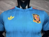 2026-27 Mens Spain Sky Blue Player version Training shirts