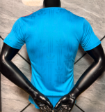 2026-27 Mens Spain Sky Blue Player version Training shirts