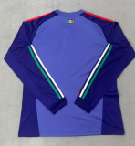 2026-27 Mens Mexico goalkeeper purple long sleeve soccer jersey