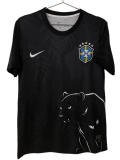 2026-27 Mens Brazil Special Edition black soccer jersey