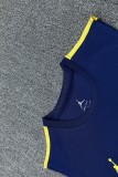 2026-27 Mens Brazil Royal Blue Vest Short Training Suit