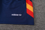 2026-27 Spain Royal blue Training Short suit