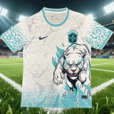 2026-27 Mens Brazil Special Edition Blue White Training shirts