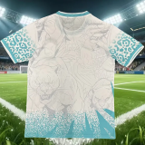2026-27 Mens Brazil Special Edition Blue White Training shirts