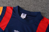 2026-27 Spain Royal blue Training Short suit