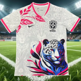 2026-27 Mens Brazil Special Edition Pink White Training shirts