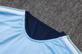 2026-27 Mens Ajax Light Blue Training Short Suit #J26066