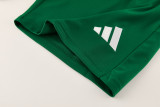 2026-27 AD13 Green Training Short Suit