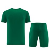 2026-27 AD13 Green Training Short Suit