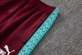 2026-27 Portugal Maroon Long-Pull Training Suit  A26062#