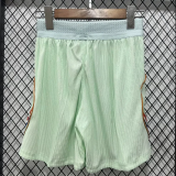 2026-27 France Away Green Player Version Shorts Pants
