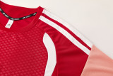2026-27 AD12 Red Training Short Suit