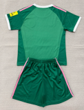 2026-27 Kids Newcastle Goalkeeper Green Soccer Jersey