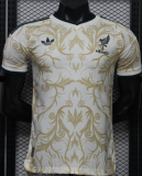 2026-27 Mexico Special Edition Player Version Soccer Jersey
