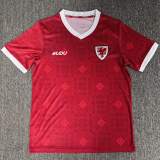 2026-27 Mens Wales Red Fans Soccer Jersey