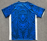 2026-27 Mens Brazil Special Edition Blue Soccer Jersey