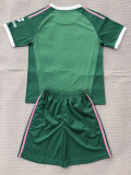 2026-27 Kids  Aston Villa Goalkeeper Green Soccer Jersey
