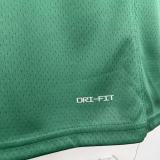 2026-27 Celtics GEORGE #13 Green Top Quality Hot Pressing NBA Jersey