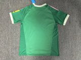 2026-27 Newcastle Goalkeeper Green Fans Soccer Jersey
