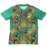 2026-27 Mens Ivory Coast Fans Green Training Shirts