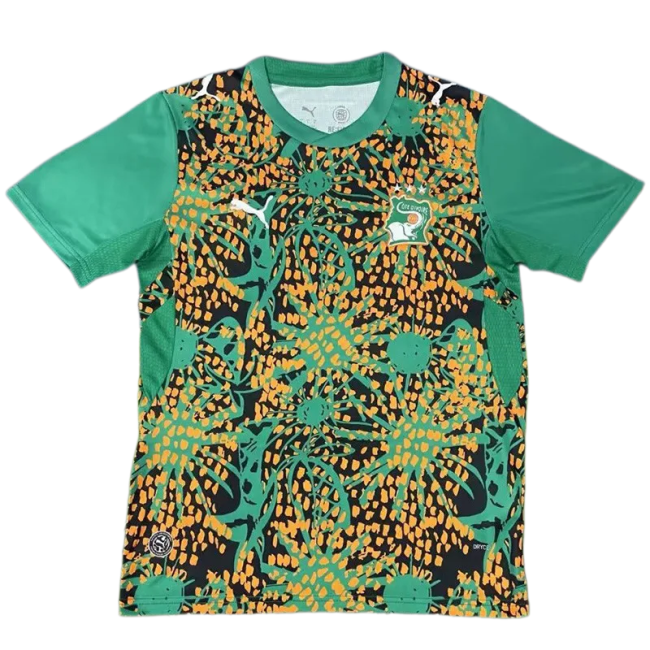 2026-27 Mens Ivory Coast Fans Green Training Shirts