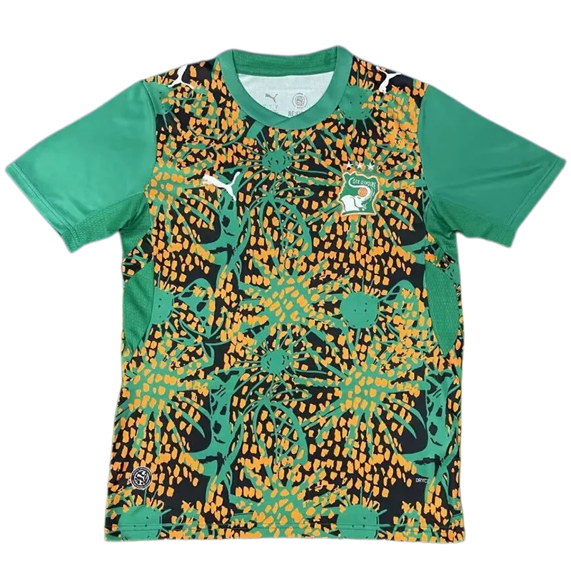 2026-27 Mens Ivory Coast Fans Green Training Shirts