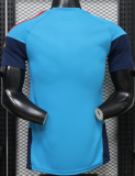 2026-27 Mens Spain Sky Blue Player Version Training Shirts