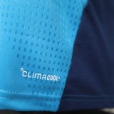 2026-27 Mens Spain Sky Blue Player Version Training Shirts