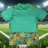 2026-27 Mens Ivory Coast Fans Green Training Shirts