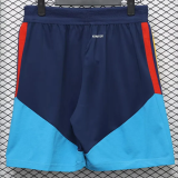2026-27 Mens Spain Royal Blue Player Version Shorts Pants