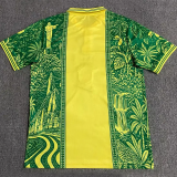 2026-27 Mens Brazil Special Edition Polo Green Soccer Jersey