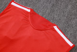 2026-27 Mens River Plate Red Vest Training Short Suit D26086#