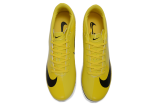 Nike AIR Zoom Mercurial Vapor 16 Elite XXV FG Soccer Shoes