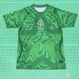 2026-27 Mens Brazil Special Edition Green Fans Soccer Jersey
