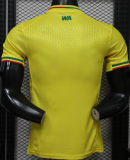 2026-27 Mens Mali Away Yellow Player Version Soccer Jersey