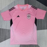2026-27 Spain Pink Goalkeeper Soccer Jersey