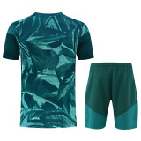 2026-27 Mens Real Madrid Special Edition Green Training Short Suit