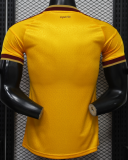 2026-27 Mens Spain special edition Player Version soccer Jersey (have two star ⭐⭐)