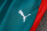 2026-27 Mens Portugal Half Pull Green Training Suit