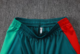 2026-27 Mens Portugal Half Pull Green Training Suit