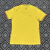 2026-27 Mens Mali Away Yellow Fans Soccer Jersey