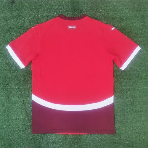 24/25 Switzerland home football Jersey